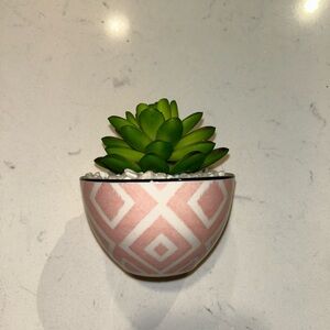 Pink Geometric Planter with Succulent
